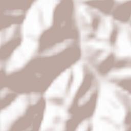 Mühlenbach Terrain Map