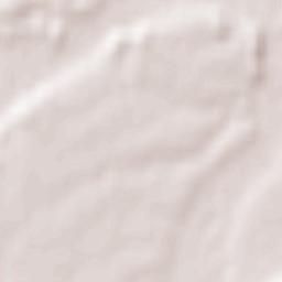 Weng im Innkreis Terrain Map