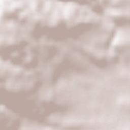 Neidling Terrain Map