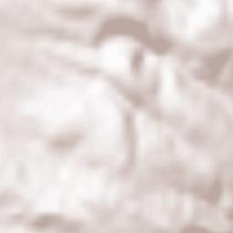 Marianka Terrain Map