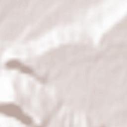 Vyzhnytsya Terrain Map