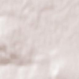 Rădăuți-Prut Terrain Map