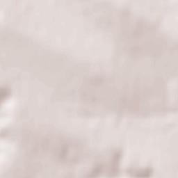 Donduşeni Terrain Map