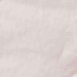 Pokrovsk Raion Terrain Map