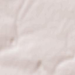 Tatsinskiy Terrain Map