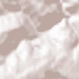 Tennenbronn Terrain Map