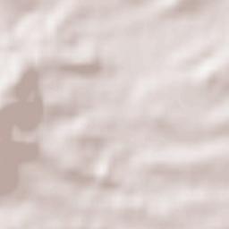 Haag am Hausruck Terrain Map