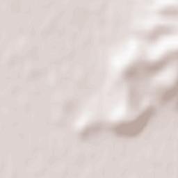 Berehove Raion Terrain Map