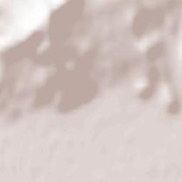 Muzhiyevo Terrain Map