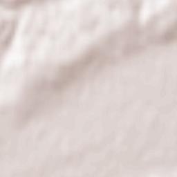 Berehomet Terrain Map