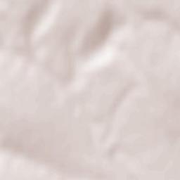 Viişoara Terrain Map