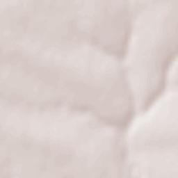 Solone Raion Terrain Map