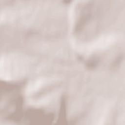 Bennwihr Terrain Map