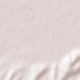 Endingen Terrain Map