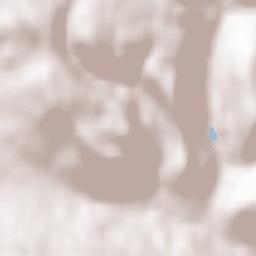 Wehingen Terrain Map