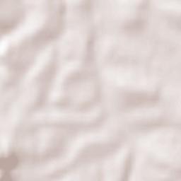 Eberschwang Terrain Map