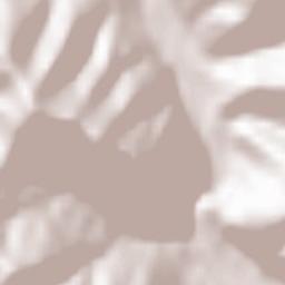 Verkhniy Yasenov Terrain Map