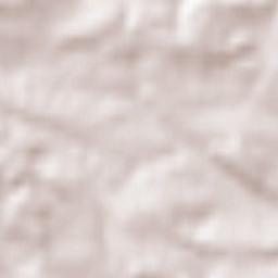 Bachmanning Terrain Map