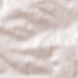 Zeillern Terrain Map