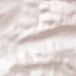 Bischofstetten Terrain Map