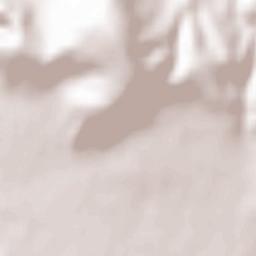 Hundsheim Terrain Map