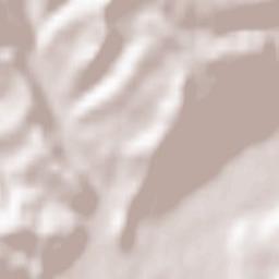 Neresnytsya Terrain Map