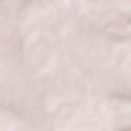 Comuna Coţuşca Terrain Map