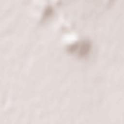 Babstovo Terrain Map