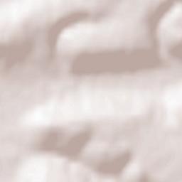 Villeneuve-sur-Yonne Terrain Map