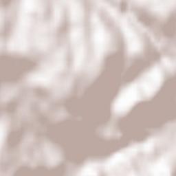 Le Tholy Terrain Map