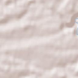 Dauchingen Terrain Map