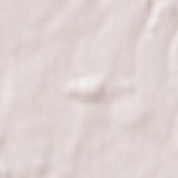 Kirchweidach Terrain Map