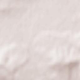 Maria Ellend Terrain Map