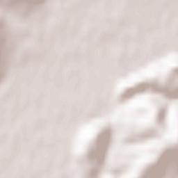 Tiachiv Raion Terrain Map