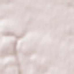 Saint-Berthevin Terrain Map