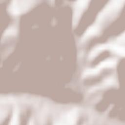 Soultzeren Terrain Map