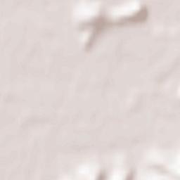 Denzlingen Terrain Map