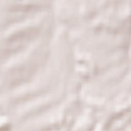 Erlenmoos Terrain Map