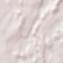 Tyrlaching Terrain Map