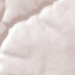 Zagnitkiv Terrain Map