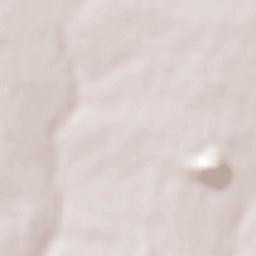 Chervonopartyzans’k Terrain Map