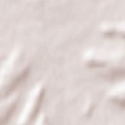 Thorigné-sur-Dué Terrain Map