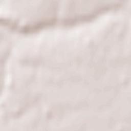 Courtenay Terrain Map