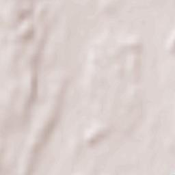 Fraueneuharting Terrain Map