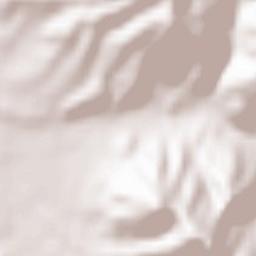 Bătarci Terrain Map