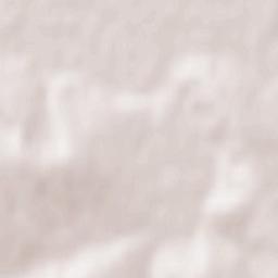 Nyzhni Petrivtsi Terrain Map