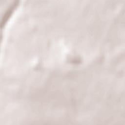 Zalesnoye Terrain Map