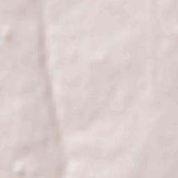 Almaznyy Terrain Map