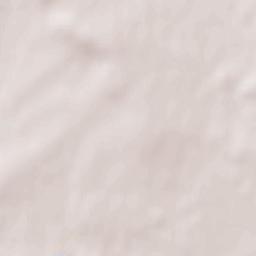 Brienon-sur-Armançon Terrain Map