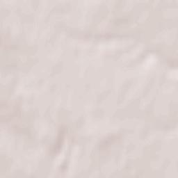 Dumbrăvița Terrain Map